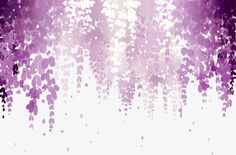 the image shows a wisteria trellis with sunlight shining through. the wisteria flowers are in full bloom and create a beautiful and romantic atmosphere.