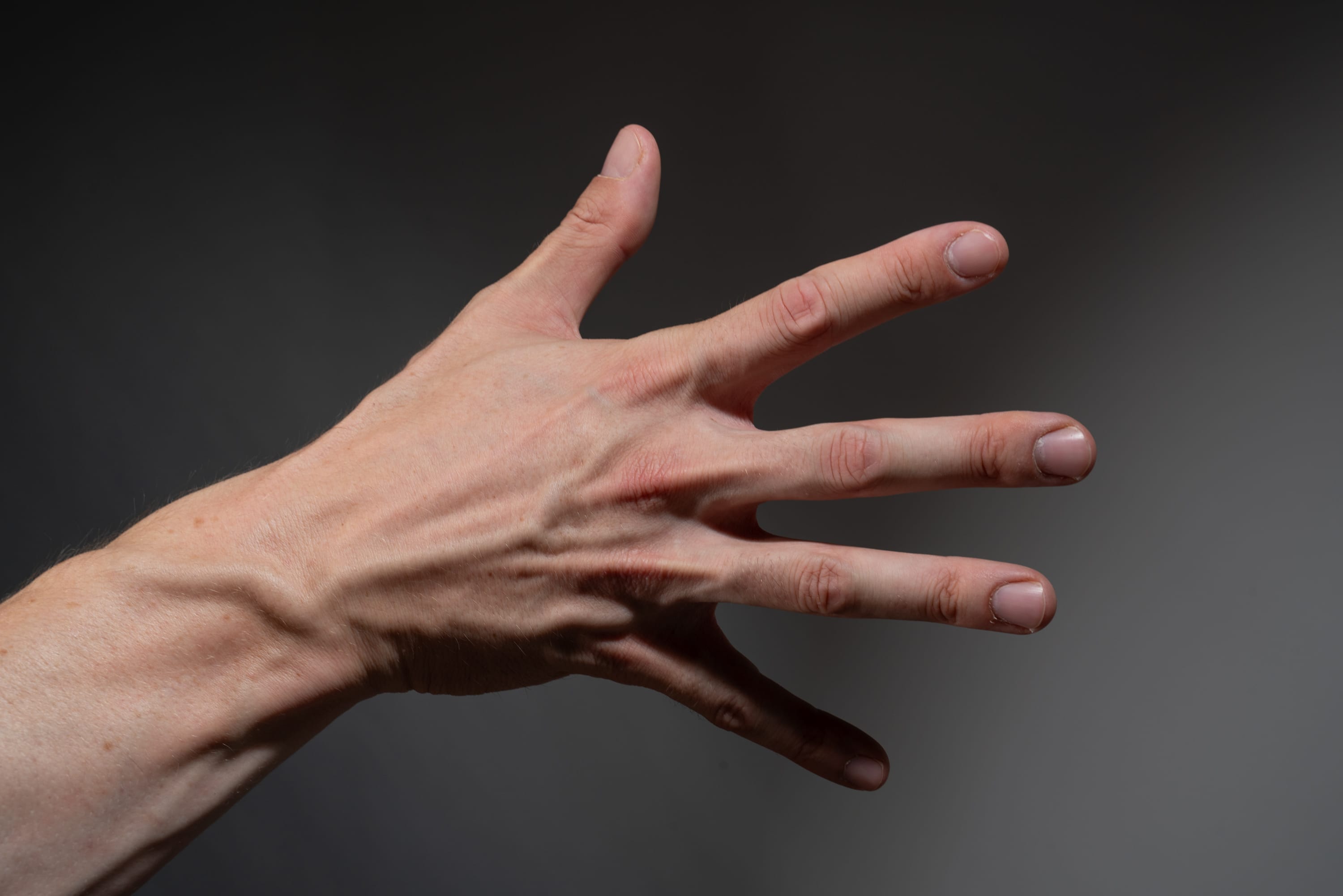 he image shows a man's left hand and forearm extended against a neutral gray background. the hand is open, with all five fingers spread apart. strong side lighting emphasizes the contours and details of the hand, highlighting the prominent veins and tendons. the closeup perspective creates a sense of intimacy and draws attention to the intricate details of human anatomy.