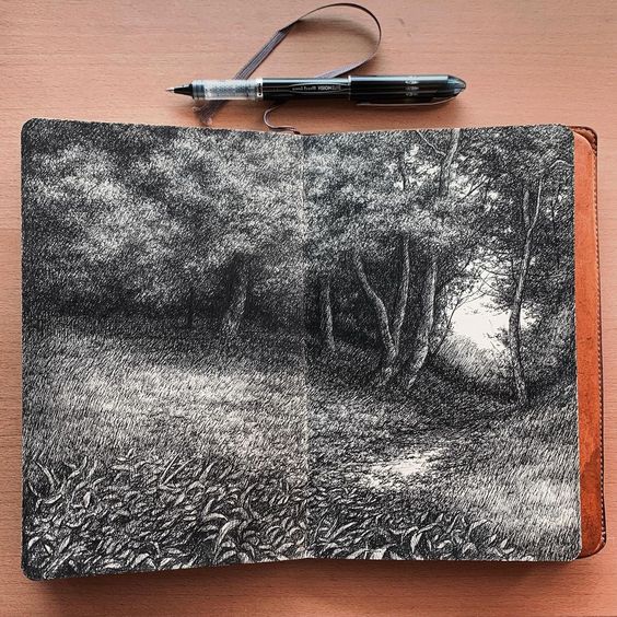 the image shows an open sketchbook lying on a wooden surface.  the sketchbook is open to a doublepage spread featuring a detailed pen and ink drawing of a forest scene. the drawing depicts a path leading into a sunlit clearing within a dense wood. the artist has used varying line weights and shading techniques, like stippling and cross hatching, to create a realistic and textured representation of the trees, foliage, and ground. a pen lies closed atop the sketchbook, suggesting the artist's work in progress. the sketchbook itself appears to have a leather or leatherlike cover. the overall impression is one of meticulous detail and artistic skill.