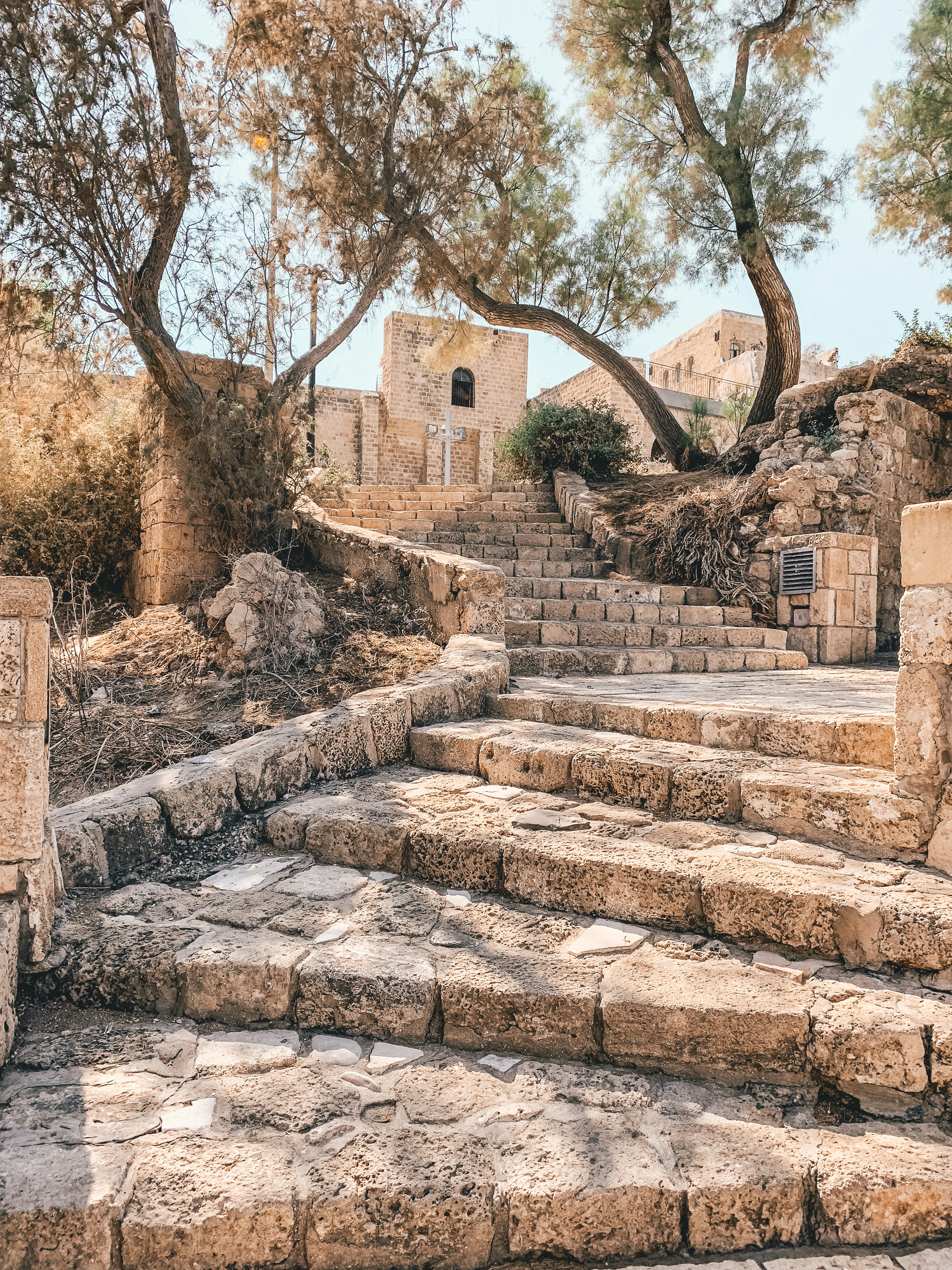 he image shows a low perspective view of a stone staircase leading up to an old stone building. the building is partially hidden by trees, and there are more trees on either side of the staircase. the stairs are made of large, uneven stones, and the building is also made of stone. the overall color palette of the image is warm and earthy, with shades of brown, tan, and green dominating.  sunlight is streaming down from the top right, casting shadows on the stairs and highlighting the texture of the stone.  the scene evokes a sense of history and tranquility.