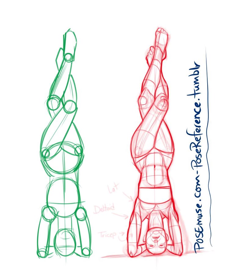 the image features two figure drawing sketches of a person in a headstand yoga pose with crossed legs. the sketch on the left is a simplified green outline using circles and lines to represent the body's basic structure. the sketch on the right is a red drawing showing more anatomical detail with muscle definition. both sketches are oriented vertically, with the head at the bottom and legs extending upwards. a handwritten note "posemuse.composereference.tumblr" is visible on the right side.