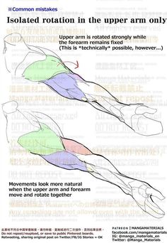 the image shows a diagram that illustrates a common mistake in anatomy drawing. the diagram shows two side views of an arm. the top image shows an incorrect way of drawing the arm, where the upper arm is rotated strongly while the forearm remains fixed. the bottom image shows the correct way of drawing the arm, where the upper arm and forearm move and rotate together. the text on the diagram explains the mistake and provides tips for drawing the arm correctly.