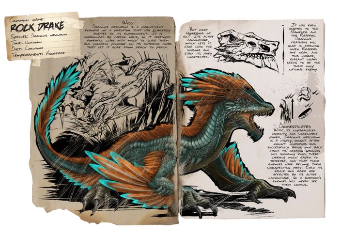 this image is a dossier entry for the rock drake creature from the game ark: survival evolved. it features an illustration of the rock drake, with details on its common name, species (dracous obscurum), diet, temperament, and descriptions of its behavior in the wild and when domesticated. the dossier also includes sketches of the rock drake's skull and details about its camouflage abilities and glowing feathers.