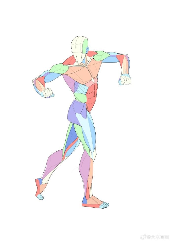 the image is an anatomical drawing of a human figure, likely male, depicted in a dynamic walking pose viewed from a threequarter perspective.  the figure's musculature is highlighted through colorcoded sections representing different muscle groups.  the style is simplified and stylized, using pastel colors instead of realistic shading and rendering. the lines are clean and relatively light, giving the image a sketchlike quality. the overall effect is a blend of anatomical accuracy with artistic interpretation.