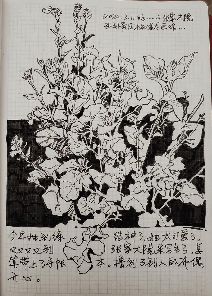a handdrawn ink drawing of a large bouquet of flowers with their leaves. it is a simple sketch with lots of detail. it is drawn in an open notebook and some text is written on the page with a black pen. the journal is filled with a grid pattern of lines, the drawing is centered, and some of the stems of the flowers are black and some are lighter, as if they are being drawn over or as if they are fading to the background.  there are lines of writing that are written in japanese.