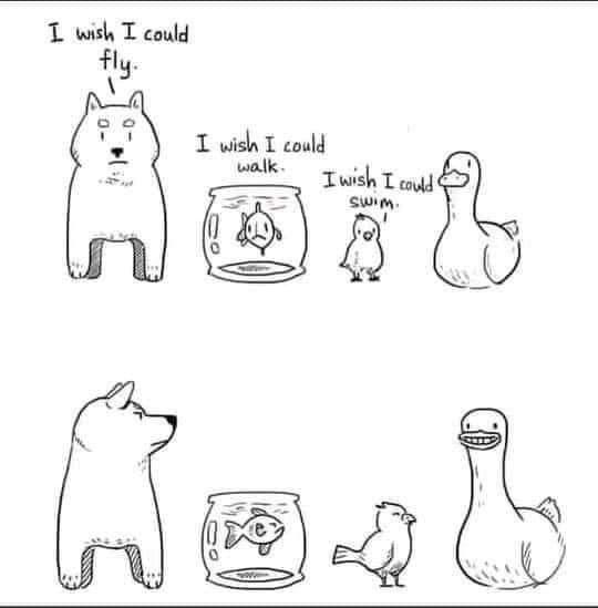 the image is a cartoon comic with two rows. the first row shows a dog wishing it could fly, a fish wishing it could walk, a bird wishing it could swim, and a duck. the second row shows the same animals, but the dog is smiling, the fish is in a fishbowl, the bird is flying, and the duck is smiling. the comic is about the animals wishing they could do something they can't, and then they are able to do it.