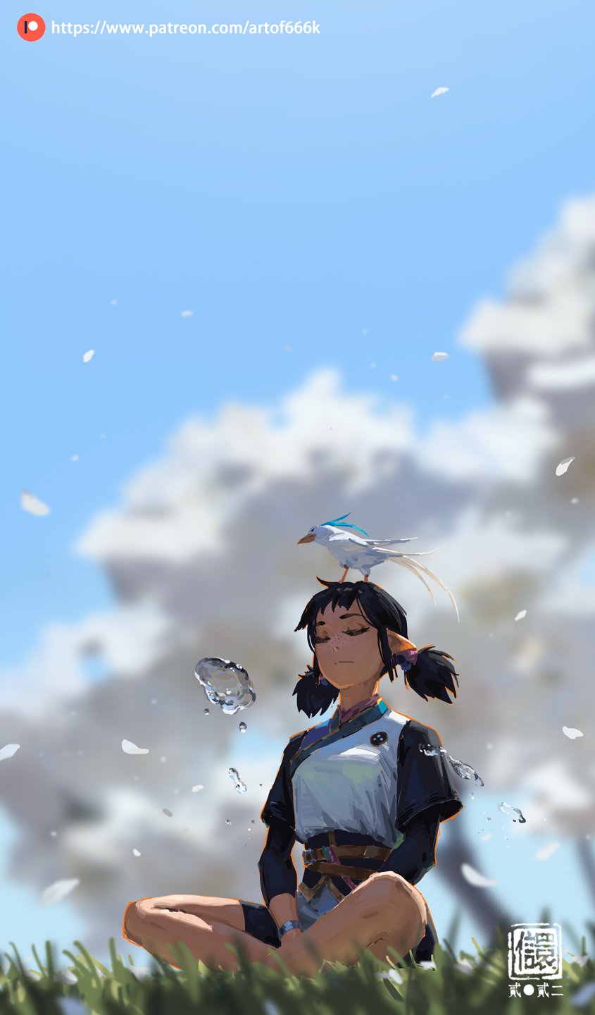 the image is a digital painting depicting a young animestyle girl with short dark hair and pointed ears sitting crosslegged on the grass. a small, light blue bird is perched on her head.  she appears peaceful and serene, almost meditative. the background features a soft, light blue sky with fluffy white clouds that suggest a springtime setting.  falling cherry blossoms and small water droplets float around her, adding to the ethereal and tranquil atmosphere. the overall style is soft, with pastel colors and a slightly watercolorlike effect.  a patreon logo and url are visible in the upper left corner.  a signaturelike mark is visible in the bottom right. the scene evokes a sense of calm and beauty.