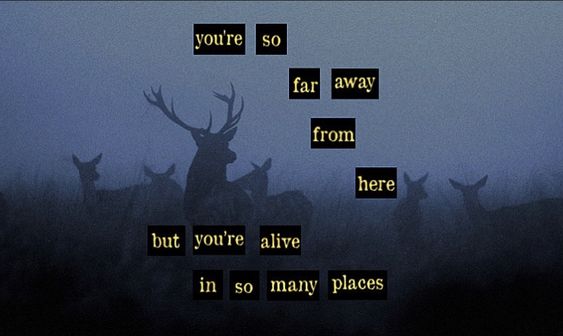 a dark, misty forest scene with the silhouettes of several deer.  the largest deer is in the center, its antlers reaching towards a quote that reads: "you're so far away from here but you're alive in so many places." the overall mood is melancholic yet hopeful.