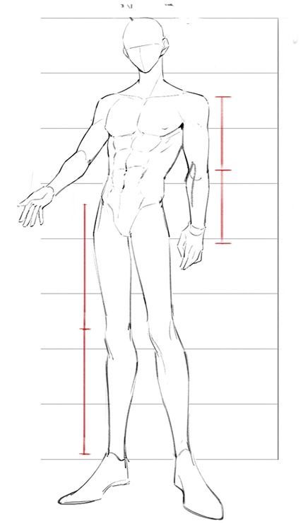 this is a line drawing of a male figure standing with his left leg slightly forward. he is posed with his arms slightly bent at the elbows, and his hands near his torso. the drawing includes lines indicating the body's proportions.  it is a sketch of a male figure.
