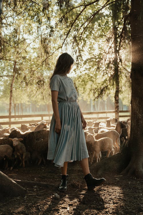 a young woman in a light blue pleated dress stands amidst a flock of sheep in a rural setting. the scene is bathed in dappled sunlight filtering through the trees of a wooded area. the woman's back is to the camera, and she is looking off to the side. she is wearing black ankle boots. the overall mood is serene and peaceful.