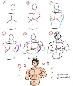 the image is a stepbystep tutorial on how to draw the male torso. it shows the process from basic shapes to a more detailed and muscular figure. the tutorial is presented in a clear and concise way, making it easy to follow. the finished drawing is of a muscular man with a confident pose.