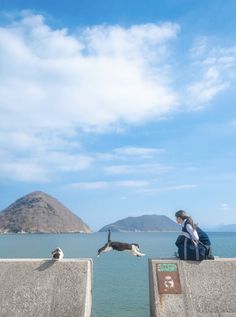 woman sits on a concrete wall by the ocean, watching a black and white cat leap through the air. in the background, lush green mountains rise from the water under a bright blue sky. the scene exudes tranquility and a sense of adventure.