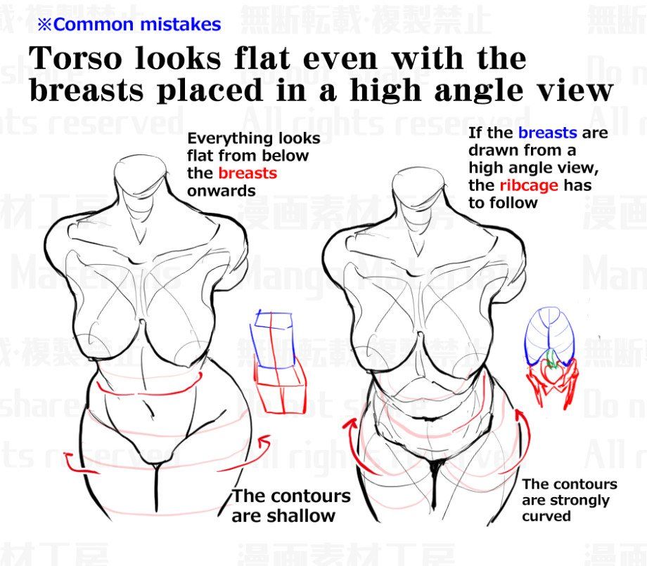 the image shows a drawing tutorial on how to draw a female torso from a high angle. the left side of the image shows a common mistake that artists make, which is to draw the torso too flat. the right side of the image shows the correct way to draw the torso, with the ribcage curving outwards to accommodate the breasts.