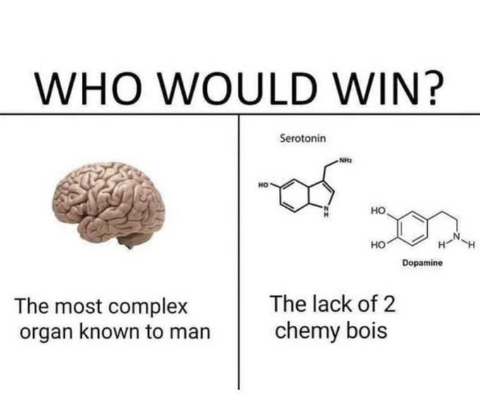 the image is a meme that asks "who would win?" comparing a brain to the lack of serotonin and dopamine, represented by their chemical structures. the brain is labeled as "the most complex organ known to man," while serotonin and dopamine are referred to as "the lack of 2 chemy bois."