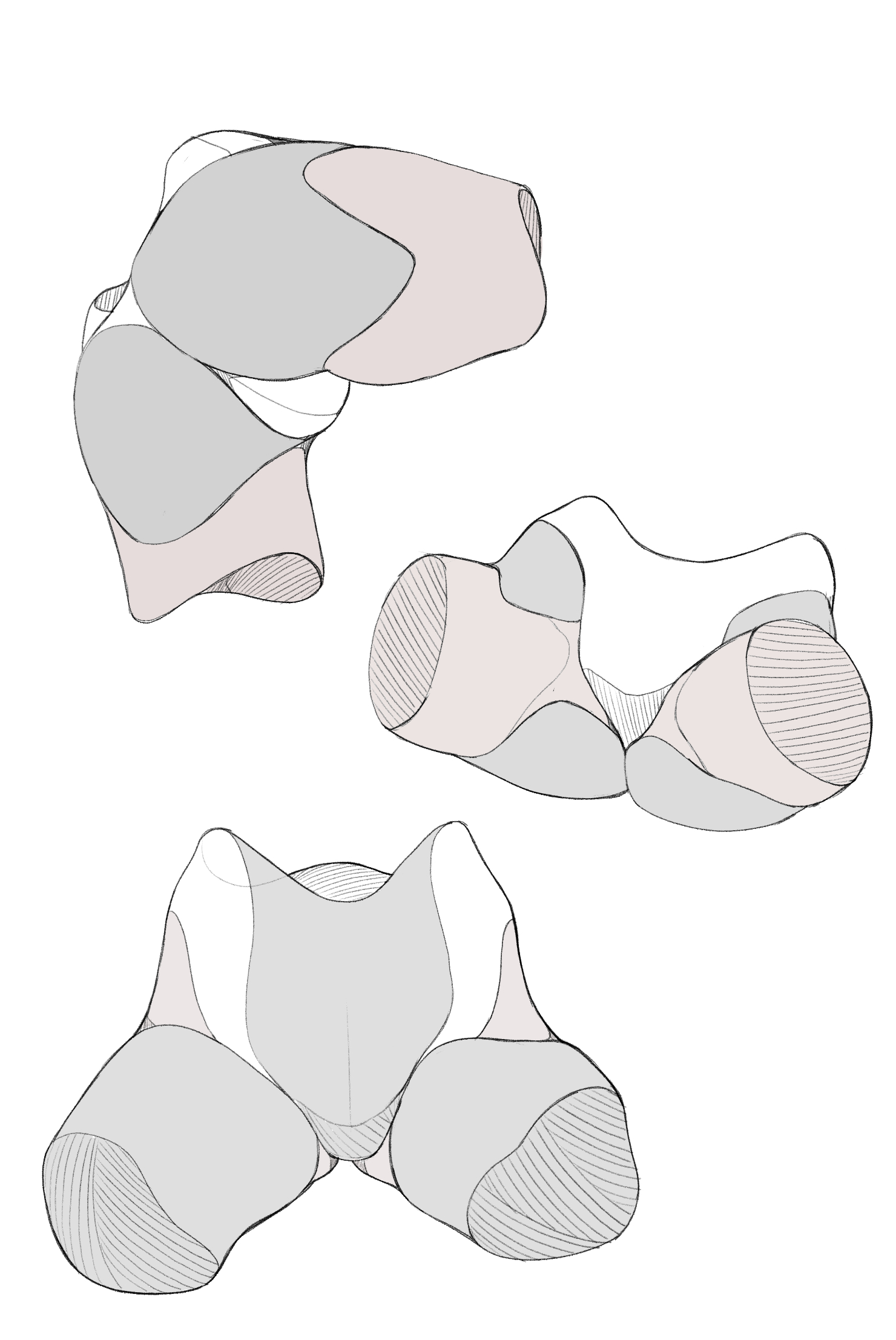 he image is a detailed line drawing of three different views of the occipital bone's condyles and the first two cervical vertebrae (atlas and axis).  each view showcases the intricate bony structures and their articulation points. the style is clean and schematic, emphasizing the anatomical form. the color palette is limited to light grey and white, enhancing the clarity of the lines and shapes.