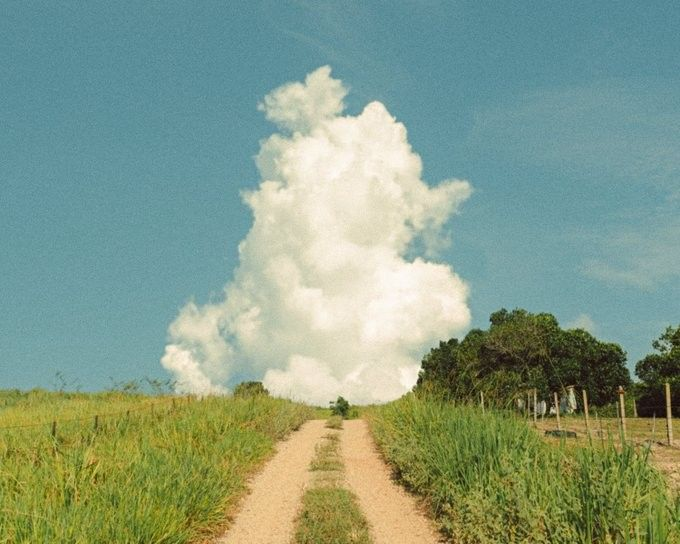a dirt road stretches into the distance, flanked by tall green grass, leading to a cluster of trees. above, a large, puffy white cloud dominates the clear blue sky, adding a sense of vastness and openness to the rural landscape.