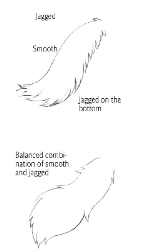 the image shows four different sketches of an animal tail demonstrating different ways to draw fur. the top left tail is labeled "jagged," the top right is labeled "jagged on the bottom", the middle tail is labeled "smooth," and the bottom tail is labeled "balanced combination of smooth and jagged."