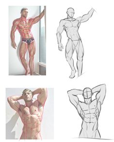 the image is a collage of photographs and sketches focusing on male anatomy for art studies.  there are two photos of a muscular man posing in slightly different stances, and next to each photo is a corresponding sketch outlining the muscular structure. the images provide reference for artists learning to draw the human form.