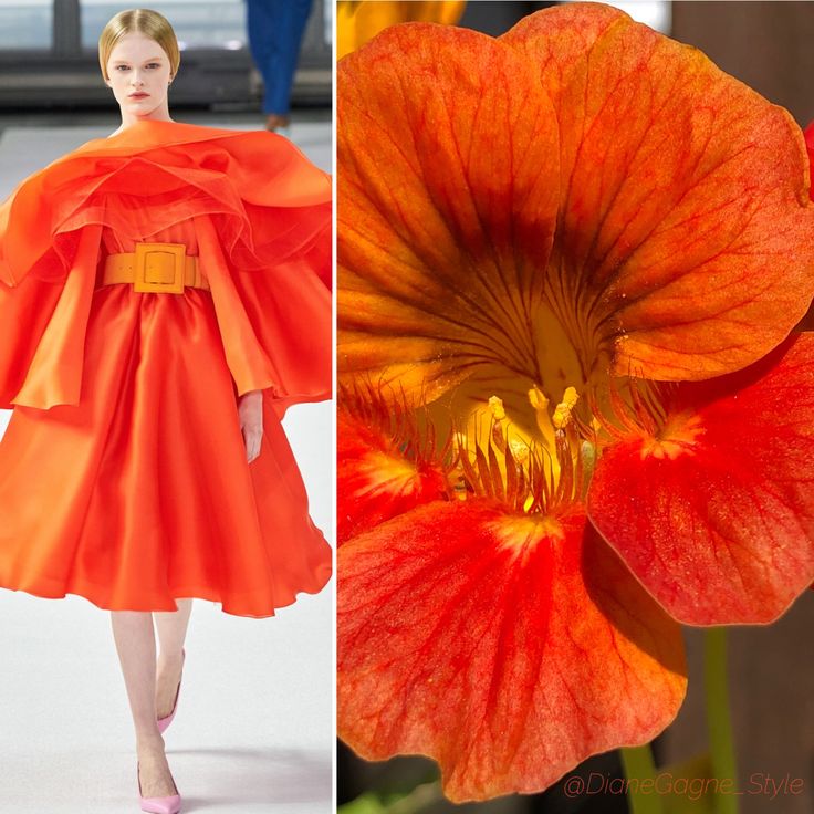 the image is split into two parts. on the left side, a fashion model is wearing an orange dress with a dramatic silhouette. the dress has a large, ruffled collar and a cinched waist. the model is walking on a white runway, and the dress is flowing behind her. the model is posing in an elegant, statuesque manner. on the right side, a closeup photo of a vibrant orange flower is showcased. the flower has a large, open blossom, revealing its delicate petals and yellow center. the flower is captured in a stunning, vibrant hue.  the image contrasts the beauty of fashion with the natural world, emphasizing the vibrant and bold use of orange.