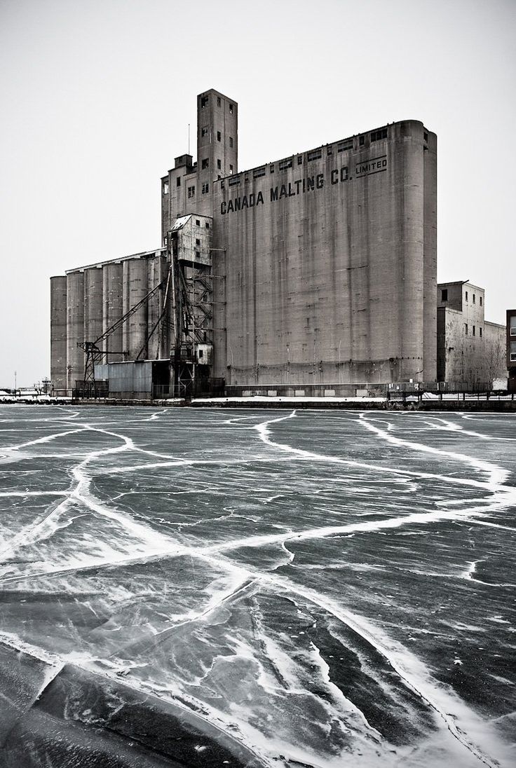 a black and white photograph of an old, weathered grain elevator labeled "canada malting co. limited." the building is made of concrete and shows signs of age and disrepair.  it sits on the waterfront, and the foreground is a vast expanse of cracked, frozen water with a layer of snow or frost.  the overall impression is one of industrial decay and a cold, wintry setting. the image is stark and somewhat desolate.