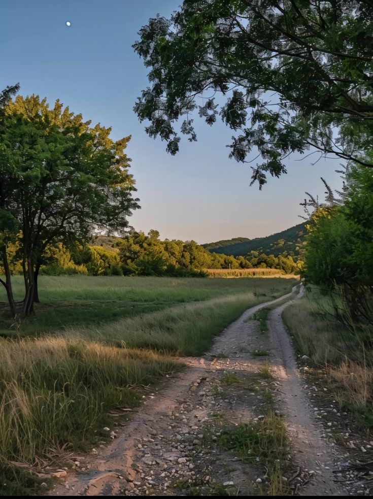 a scenic view of a dirt road leading through a grassy field towards a wooded hill, framed by trees under a clear sky with the moon visible.