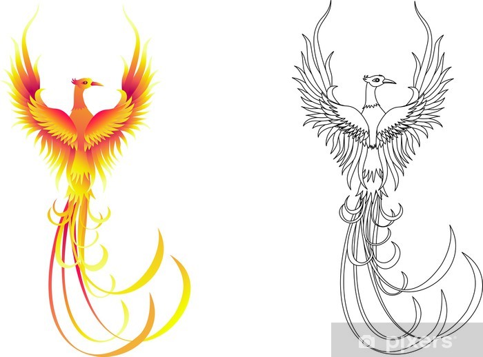 the image depicts a stylized phoenix bird in both color and black and white line art. the phoenix is a mythical creature known for its ability to rise from its own ashes, symbolizing renewal and rebirth. the bird is shown in a dynamic pose with its wings spread wide, as if in flight or about to take off. its long, flowing tail feathers add to the sense of movement and grace. the colored version features vibrant shades of orange, yellow, and red, suggesting fire and energy, while the black and white version emphasizes the details of its form.
