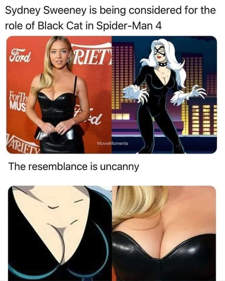 the image is a meme comparing sydney sweeney to black cat. the top part of the image shows a photo of sydney sweeney in a black leather dress on the left, while the right side shows a cartoon image of black cat. the caption on top reads "sydney sweeney is being considered for the role of black cat in spiderman 4." the bottom part of the image shows a closeup of sydney sweeney's chest in the black leather dress on the right, and a closeup of black cat's chest on the left. the caption below reads "the resemblance is uncanny." the meme suggests that sydney sweeney would be a good choice for the role of black cat in the upcoming spiderman movie.
