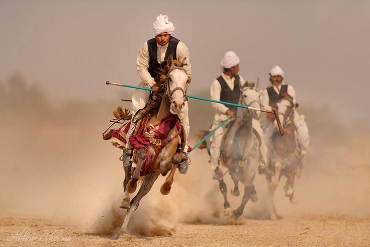 this photo shows three men on horses during a polo match. the men are wearing traditional clothing and turbans. the horses are running in a field of sand with dust flying in the air. one man is in the foreground, focused on the game, while the other two are behind him. they are riding a white horse, a brown horse, and a grey horse. all three of them are holding sticks. this picture captures the energy and excitement of the sport.