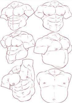 the image showcases six detailed sketches of male torsos, each emphasizing different muscle groups and body types. the drawings highlight the intricacies of human anatomy, focusing on the definition of pectoral muscles, abdominal muscles, and the contours of the ribcage.