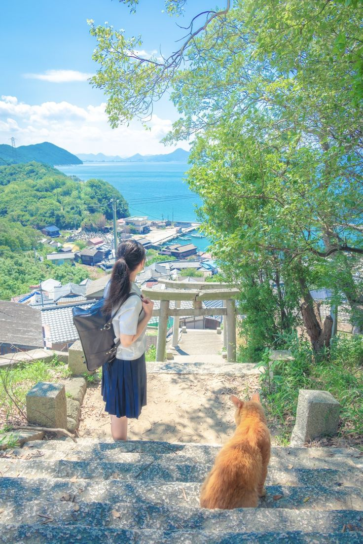 a girl in a school uniform stands on stone steps with a cat, looking out towards a town, the sea, and an island, framed by a torii gate and trees.