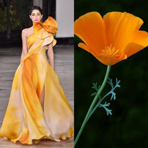 this image features a stunning fashion model wearing a flowing, yellow couture gown. the dress is adorned with layers of fabric, creating a dramatic and ethereal effect. the model's pose and the overall composition of the image evoke a sense of elegance and sophistication. the image also includes a closeup of a vibrant orange poppy flower, which complements the yellow tones of the dress and adds a touch of nature to the scene.