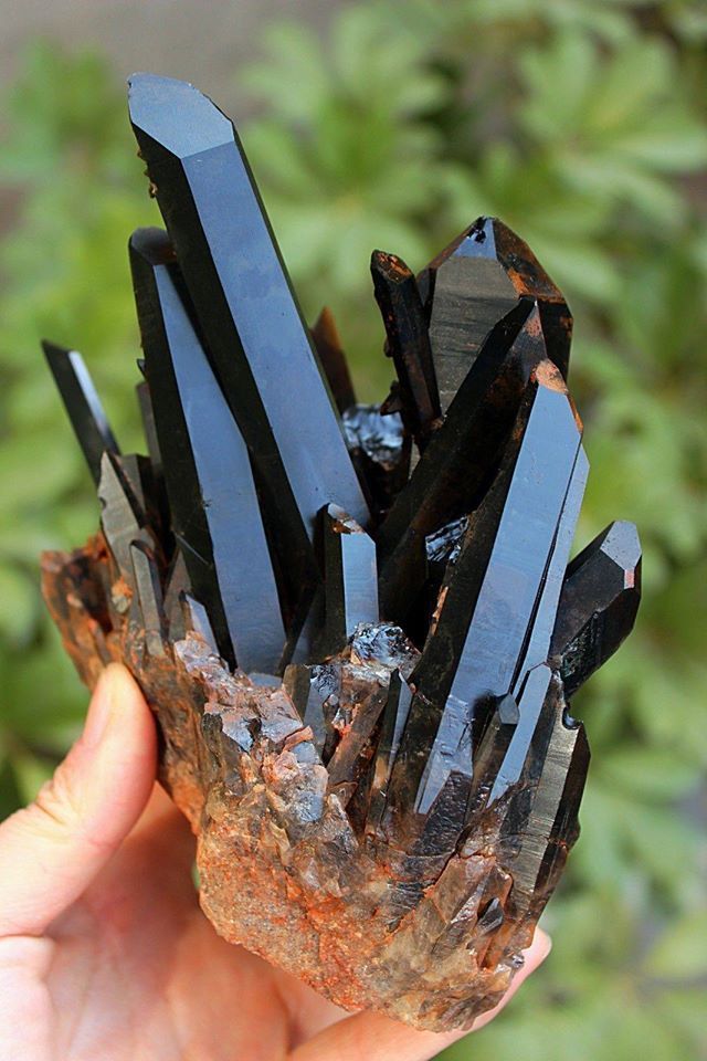 a hand holds a cluster of black quartz crystals, also known as smoky quartz. the crystals are sharp and pointy, and they have a deep black color. the crystals are clustered together in a natural formation, and they are surrounded by a layer of brown earth. the crystals are shiny and reflective, and they catch the light in a beautiful way. the background is blurred, and it is out of focus.  the crystals are a beautiful and fascinating example of nature's artistry.