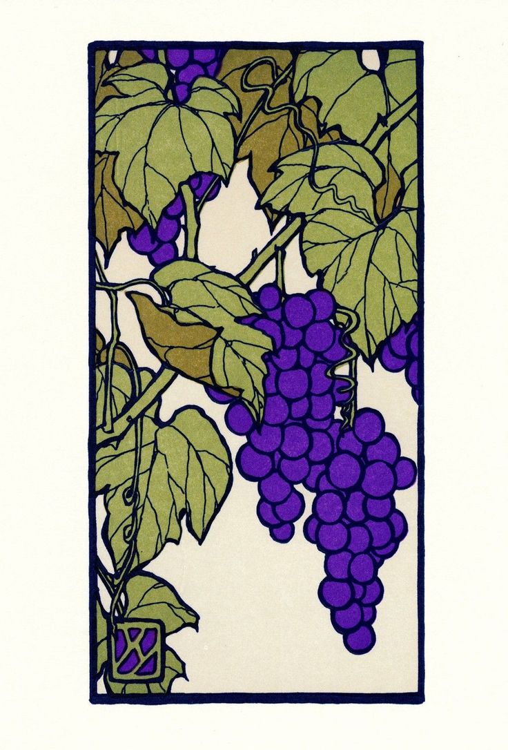 vintage art nouveau style illustration of grapes hanging from a vine. the image is done in a woodcut style with dark outlines and flat areas of color. the grapes are a deep purple, and the leaves are various shades of green. the background is a pale cream color. the illustration is framed in a dark border.  a small decorative element is visible at the bottom. the overall style is highly stylized and decorative.