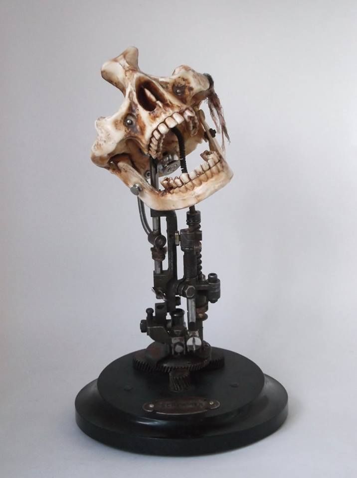 a closeup shot of a small, mechanical sculpture of a skull. the skull is made of white ceramic and has a detailed jaw and teeth. the sculpture is mounted on a black base and is made of rusted metal gears and pieces. it is a unique and creepy piece of art.