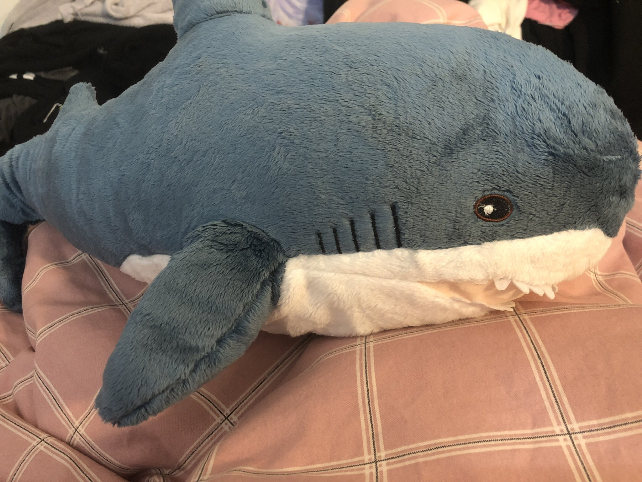 a blue shark plush toy lies on a pink and white checkered blanket. the shark has a white belly, a blue top, and a stitchedon black mouth and eyes. it's a soft, cuddly toy.