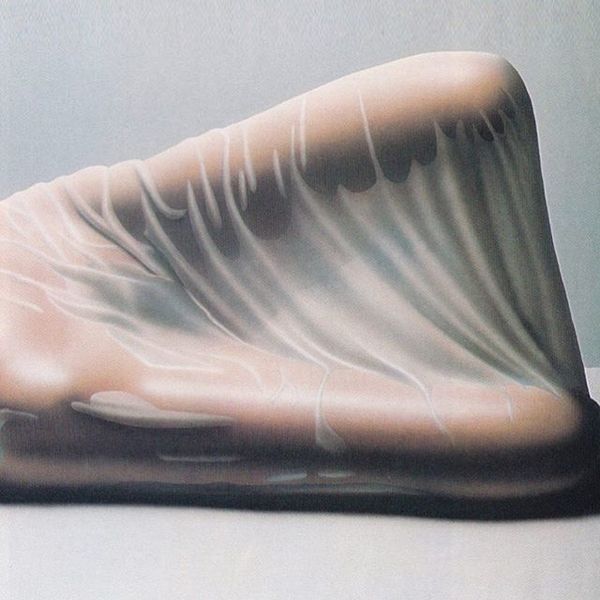the image is a hyperrealistic painting or print depicting a portion of a reclining nude female form draped with a sheer, translucent fabric. the fabric clings to the body, revealing the underlying skin tones and form.  the artist masterfully renders the texture of both the skin and the fabric, emphasizing the subtle folds and curves of the body. the overall color palette is muted and monochromatic, with soft pastel tones dominating. the lighting is soft and diffused, contributing to the overall sense of sensuality and calmness. the style suggests elements of both realistic and potentially abstract expressionist or minimalist tendencies.