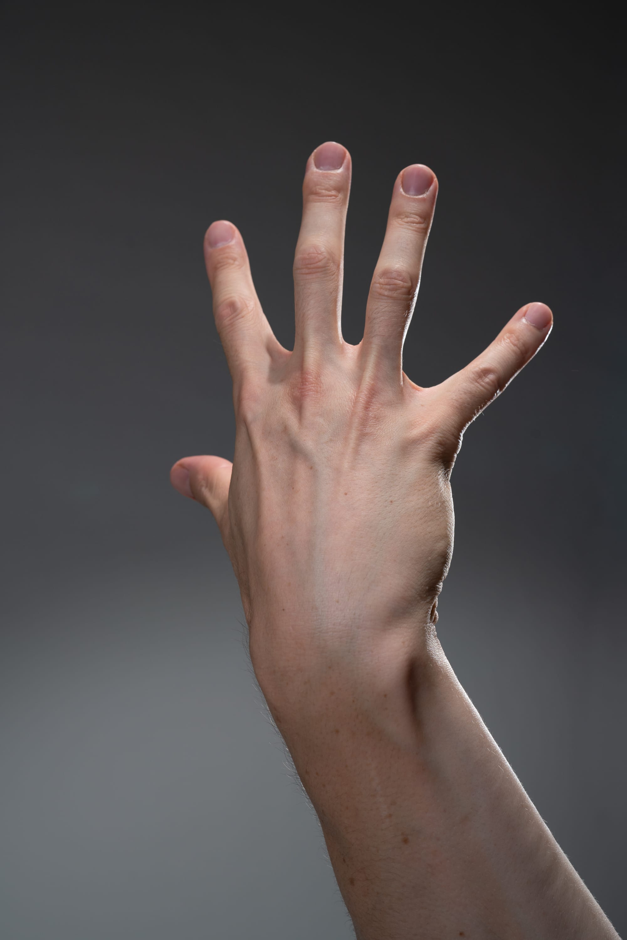 paleskinned hand is extended upwards against a neutral gray background. the hand is open, with the fingers spread apart as if counting to four. the studio lighting creates a dramatic effect, highlighting the details of the hand and arm.