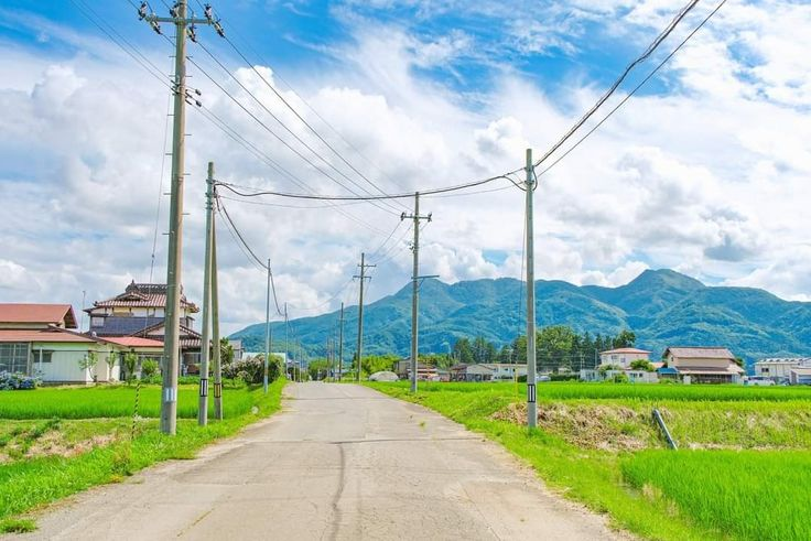 a rural road stretches into the distance, flanked by lush green rice paddies and residential buildings. utility poles line the road, carrying overhead power lines against a backdrop of mountains and a cloudy sky.