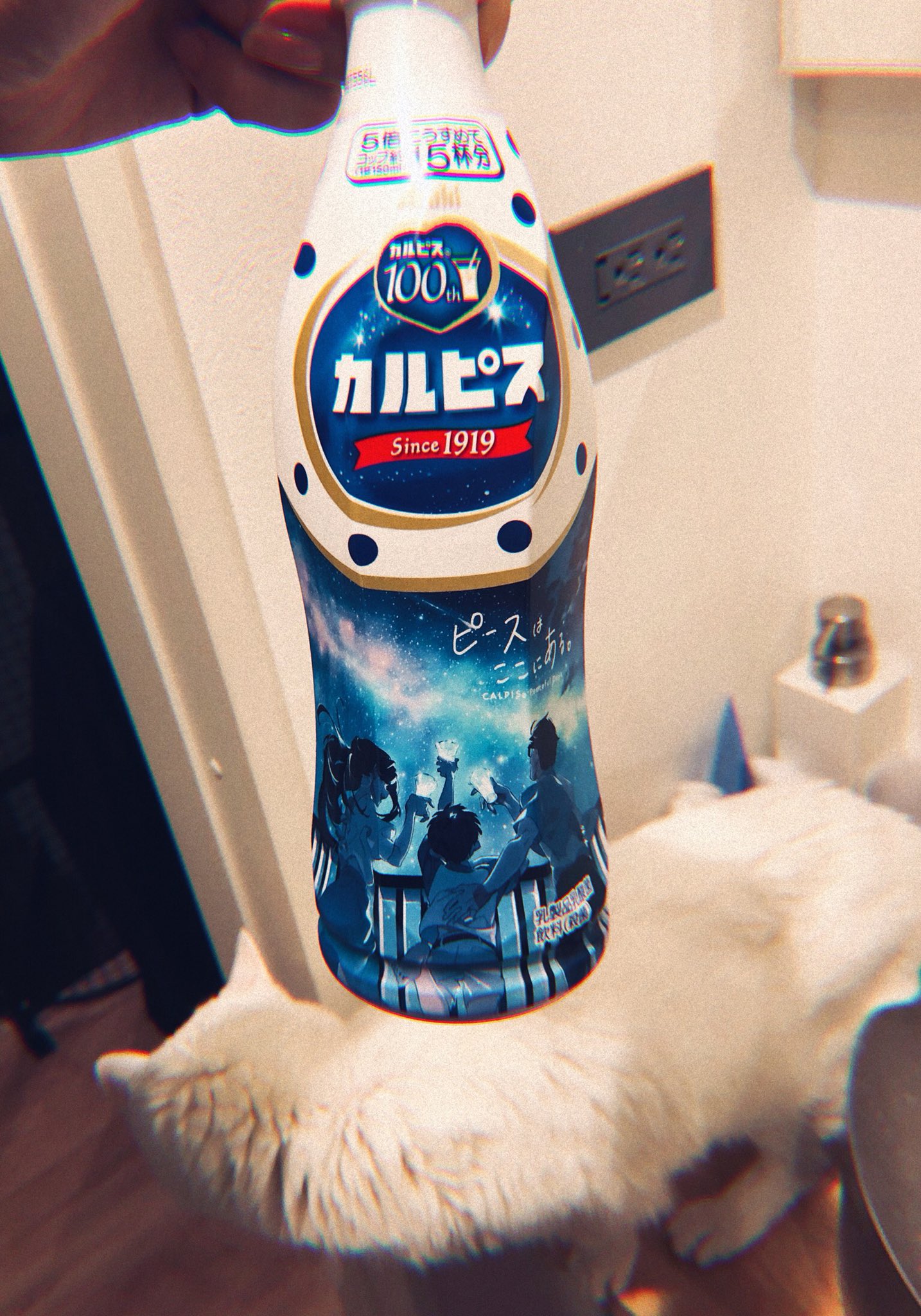 a bottle of limitededition calpis, featuring artwork of a group of people under a starry night sky, is being held in front of a fluffy white cat.