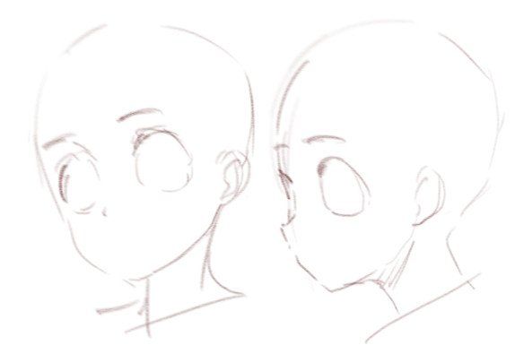 this is a simple drawing of two anime character heads. the drawing is in line art and shows the side profile of one head and the front view of the other head. the heads are shown without any other details, such as hair or clothing. the drawing is in pencil and is very basic in nature. this kind of drawing would be used as a starting point for creating a more detailed anime character.