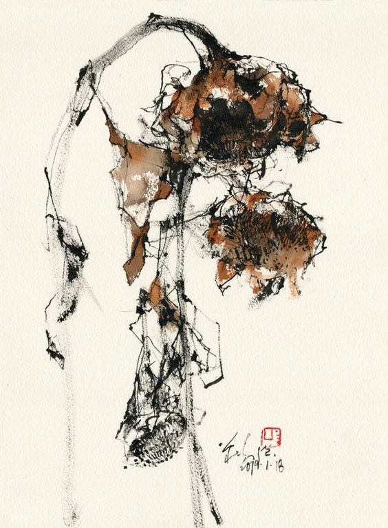 this is a minimalist drawing of a dried sunflower. the sunflower is drawn in brown and black ink on a white background. the sunflower is drooping and the petals are withered.