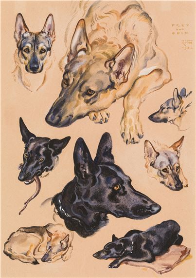 his watercolor painting showcases a collection of german shepherd dogs in various poses. the artwork features detailed depictions of the dogs' fur, expressions, and body language.  several dogs are shown in profile, others from the front, and some are lying down or sleeping.  the color palette is muted, with shades of light brown, beige, and black dominating the piece.  there are at least seven dogs depicted in total, showing a range of ages and postures.  the style is realistic and the detail is quite impressive. the painting seems to be a study of the breed.