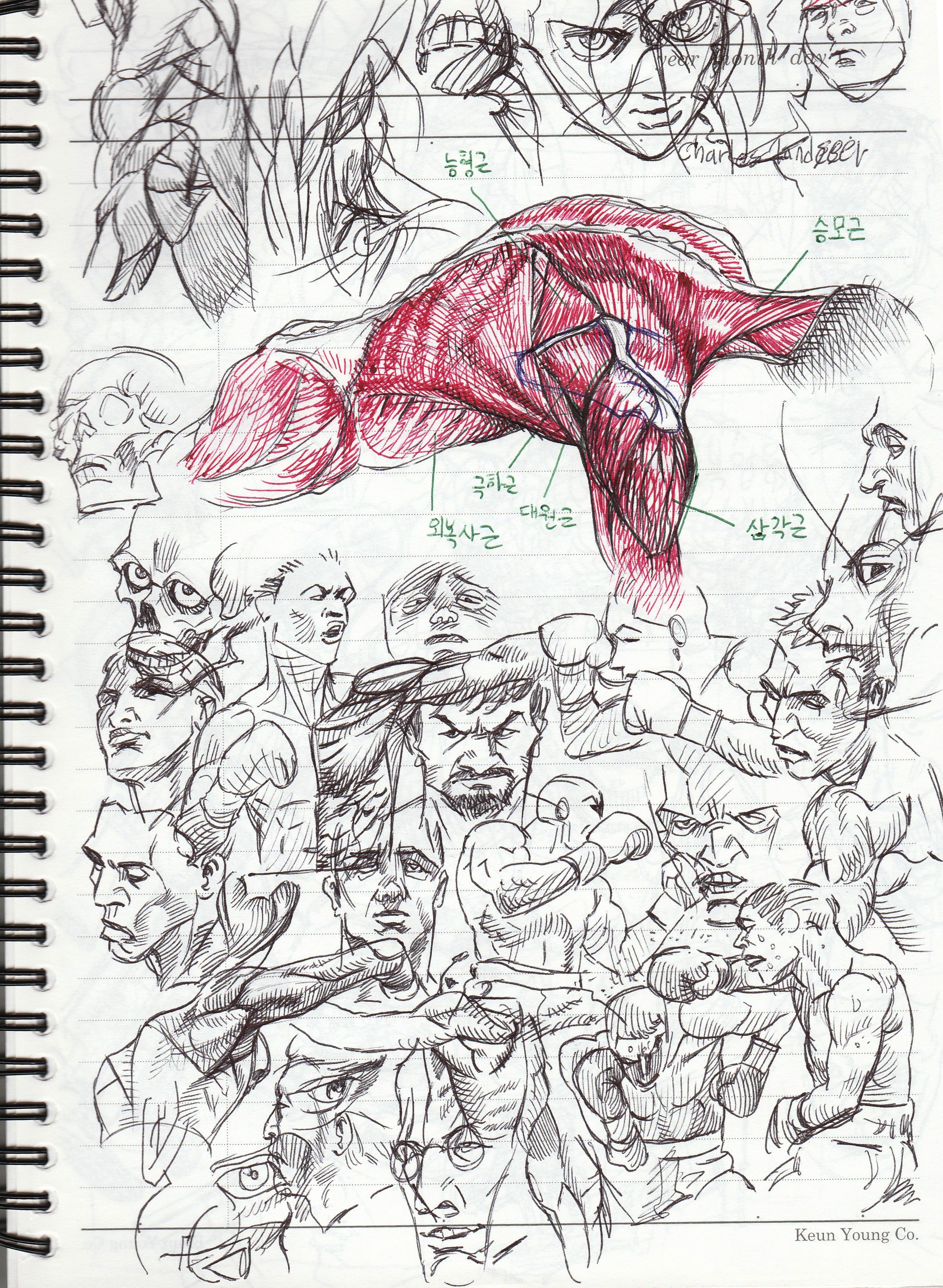 this image is a sketch in a notebook. it appears to be an art student's work in progress. the sketch consists of anatomical drawings of the human body, mostly of muscle structure, as well as drawings of faces. the artist appears to be using a pen or pen and ink to create their drawings. the notebook paper has some lines on it and is filled with sketches. there are several labels in korean.