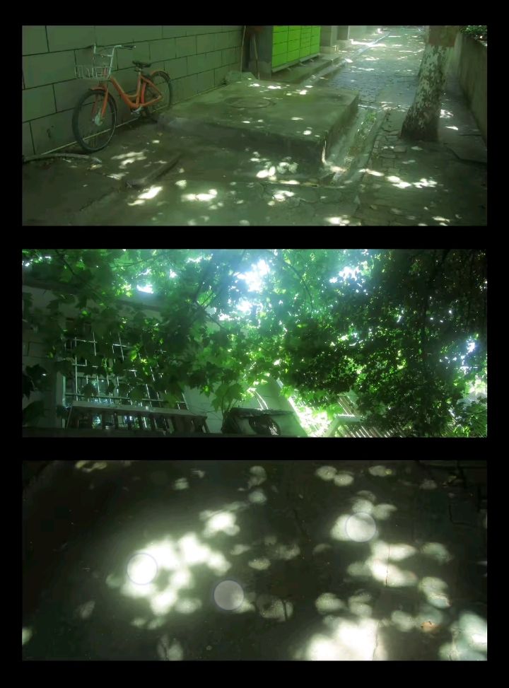 the image is a triptych, a threepart vertical arrangement, showcasing different aspects of an urban scene. top panel: shows an orange bicycle parked against a brick wall in a narrow alleyway. the sunlight casts dappled shadows on the pavement.  the scene is somewhat desolate and quiet. middle panel: presents a view looking up into the lush green canopy of a tree. sunlight filters through the leaves, creating bright spots and shadows. this panel offers a sense of depth and perspective. bottom panel:  focuses on the ground, showing the pattern of light and shadow created by the tree's leaves. the light is diffused, creating soft, round patches of illumination on the dark pavement. this panel emphasizes the texture and interplay of light and shadow.the overall effect is a peaceful, somewhat melancholic portrayal of a moment in time, contrasting the humanmade environment (the bicycle and alleyway) with the natural world (the tree and sunlight). the triptych structure allows the viewer to see the same scene from different perspectives, adding depth to the image.