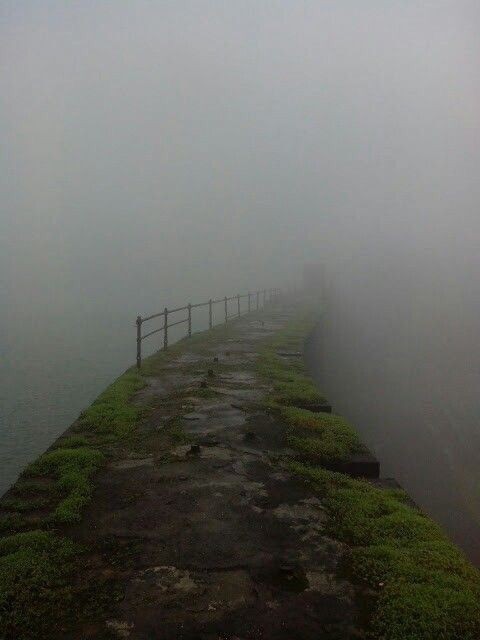 a stone path with green moss growing on it is partially visible through the fog. a metal railing runs along the left side of the path. the fog is dense, obscuring much of the surrounding landscape and creating a sense of mystery.