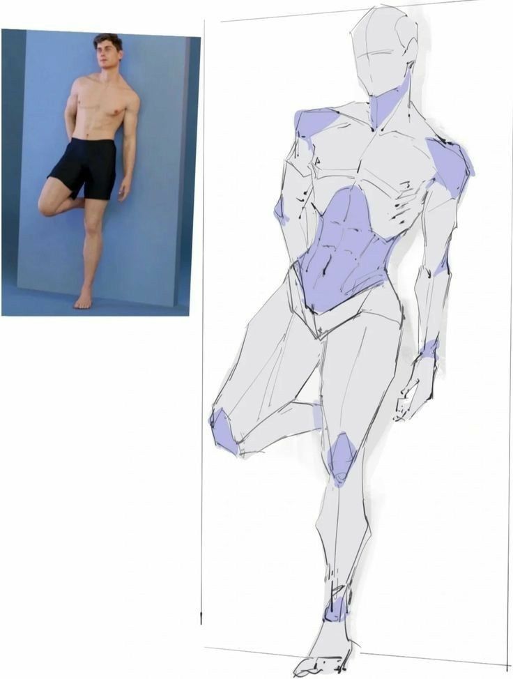 the image shows a comparison between a photograph of a male model in a relaxed pose and a corresponding figure drawing.  the photograph on the left depicts a man standing with one leg bent, showcasing his physique. the drawing on the right is a simplified anatomical sketch, capturing the essential forms and proportions of the pose.  areas like the torso and joints are highlighted in lavender for clarity in the anatomical sketch. the style is a loose, quick study that focuses on conveying the form and movement, rather than detailed rendering.  the drawing is likely intended as a demonstration of how to approach figure drawing, emphasizing the understanding of underlying anatomy.