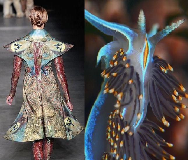 the image shows a fashion model wearing a dress with butterfly wings, standing on a runway. the dress is a vibrant mix of colors and textures, with intricate details and a flowing silhouette. on the right side of the image is a sea slug, an ocean creature with a colorful and intricate exterior. both the dress and the sea slug feature similar patterns and colors, suggesting a bioinspired fashion design. the juxtaposition of the fashion model and the sea slug highlights the beauty and diversity of both the natural and humanmade worlds.