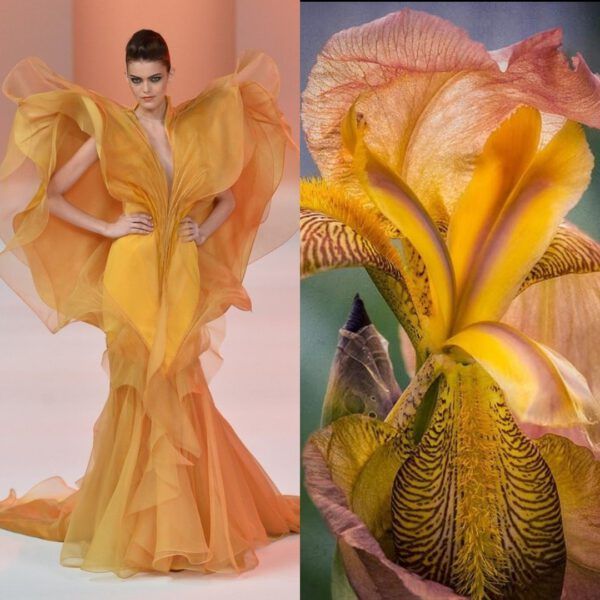 the image is a split image, with the left side showcasing a model in a stunning yellow gown with intricate ruffles and a flowing silhouette. the gown embodies elegance and sophistication. the right side features a closeup of a vibrant yellow iris with delicate, intricate petals and a captivating texture. the combination of fashion and nature creates a beautiful and harmonious visual.