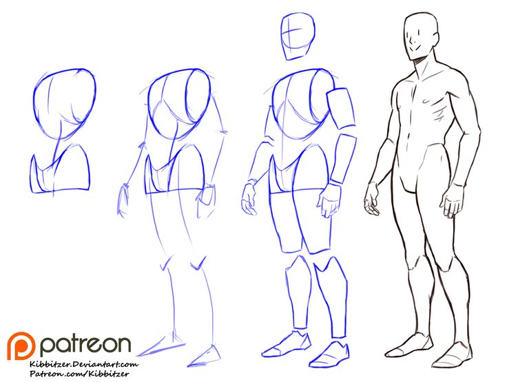 this is a tutorial on drawing the male anatomy. the image shows four different steps of the drawing process, starting with a basic stick figure and ending with a more detailed outline of the male body. the steps are clearly labeled and easy to follow. the tutorial is designed for beginners but could be useful for anyone wanting to improve their drawing skills.