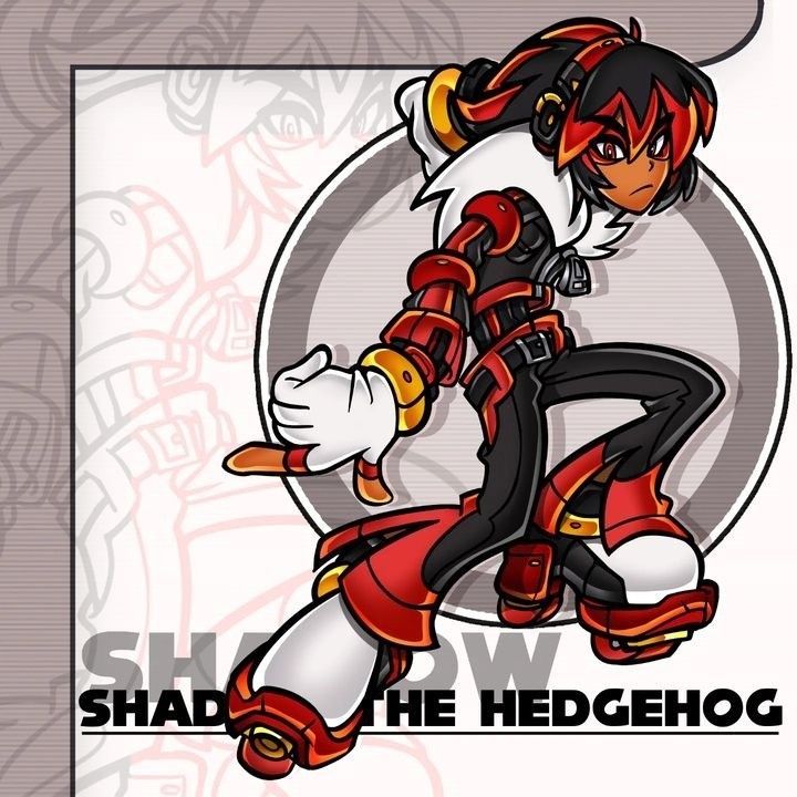 the image is fanart depicting shadow the hedgehog from the sonic the hedgehog franchise.  he's drawn in a dynamic, actionoriented pose, with his body angled and his legs slightly spread apart.  his design incorporates red and black elements, prominently featuring red boots and gloves. the art style is a stylized comic book or graphic novel aesthetic with bold lines and vibrant colors.  a background image of a less defined, sketched version of shadow is partially visible, adding depth to the composition. the text "shadow the hedgehog" is displayed prominently at the bottom. the overall feel is energetic and dynamic.
